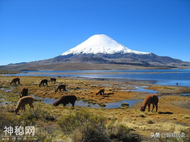 全球国土最狭长的国家，只有中部可以住人，如今却成地区最富国-5.jpg
