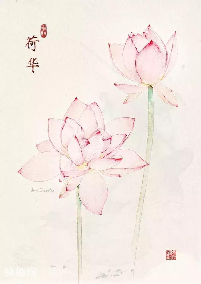 二十四节气与美食相遇！背后的插画师又仙又美，用笔守护中国民俗-35.jpg
