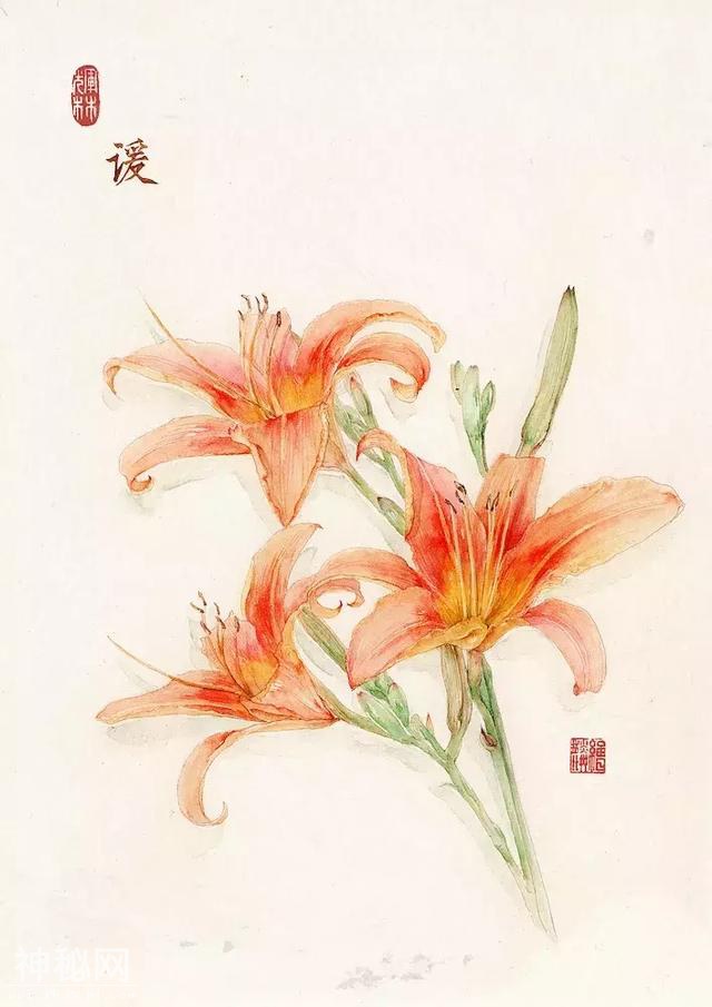 二十四节气与美食相遇！背后的插画师又仙又美，用笔守护中国民俗-37.jpg