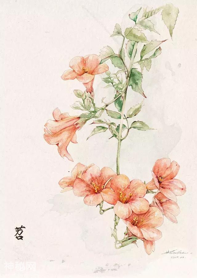 二十四节气与美食相遇！背后的插画师又仙又美，用笔守护中国民俗-36.jpg