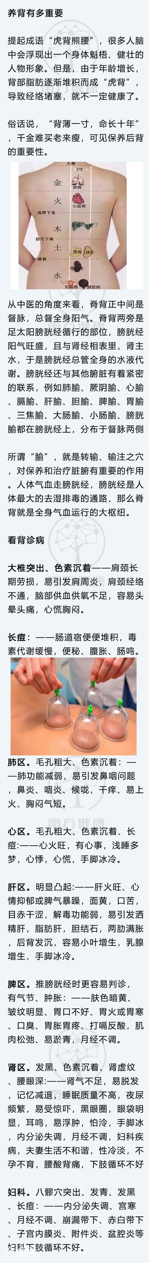 从后背看出身体好坏！中医教你简单的背诊口诀，太实用了-3.jpg