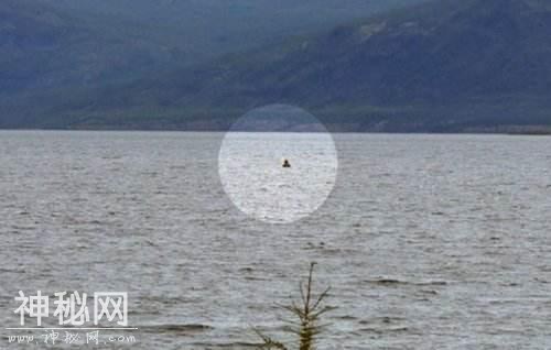 青海湖出没神秘水怪，牛头豹身体长十几米，藏民视其为神灵-3.jpg