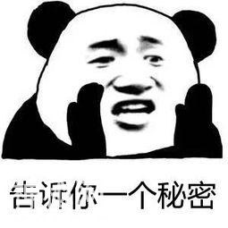 告诉你一个秘密表情包合集-1.jpg