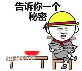 告诉你一个秘密表情包合集-3.jpg