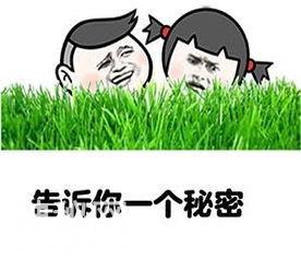 告诉你一个秘密表情包合集-10.jpg