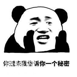 告诉你一个秘密表情包合集-8.jpg