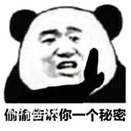 告诉你一个秘密表情包合集-6.jpg