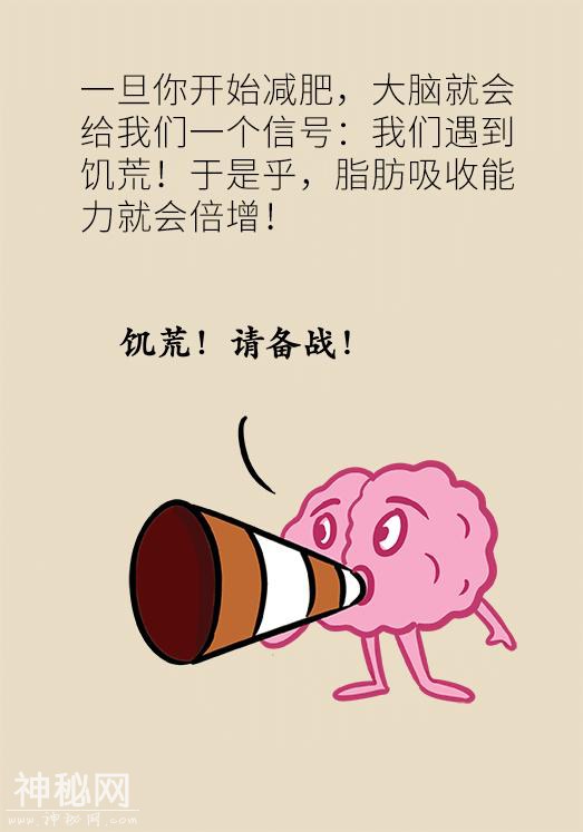 身体内这三种细胞跟减肥关系极其密切，弄清楚了才能减得更快-23.jpg