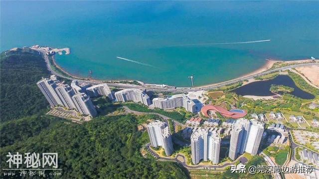 探索海底世界 人均200玩浮潜 住蓝鲸酒店+环岛游+海钓+UFO游泳池-2.jpg