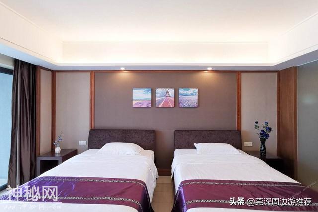 探索海底世界 人均200玩浮潜 住蓝鲸酒店+环岛游+海钓+UFO游泳池-5.jpg