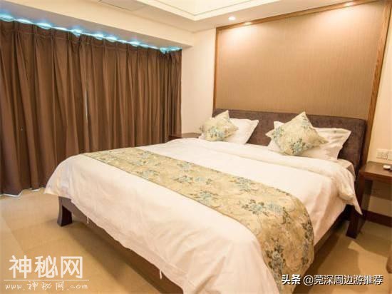 探索海底世界 人均200玩浮潜 住蓝鲸酒店+环岛游+海钓+UFO游泳池-6.jpg