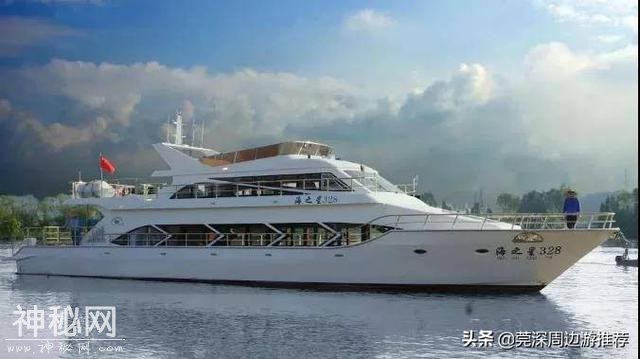 探索海底世界 人均200玩浮潜 住蓝鲸酒店+环岛游+海钓+UFO游泳池-10.jpg