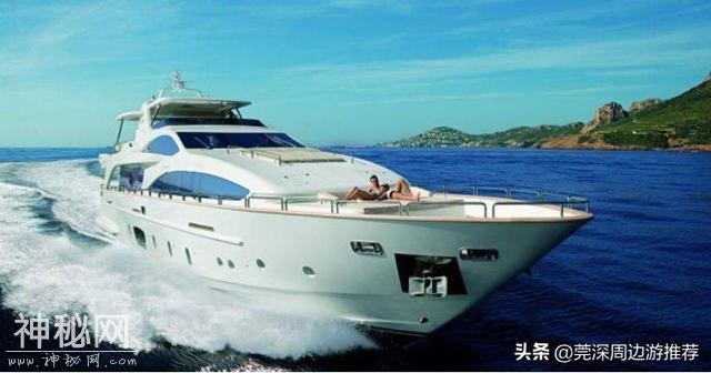 探索海底世界 人均200玩浮潜 住蓝鲸酒店+环岛游+海钓+UFO游泳池-11.jpg