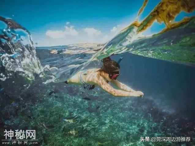 探索海底世界 人均200玩浮潜 住蓝鲸酒店+环岛游+海钓+UFO游泳池-18.jpg