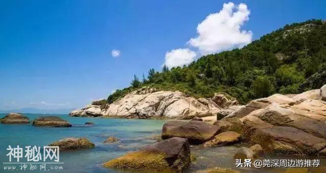 探索海底世界 人均200玩浮潜 住蓝鲸酒店+环岛游+海钓+UFO游泳池-12.jpg
