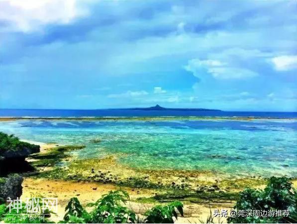 探索海底世界 人均200玩浮潜 住蓝鲸酒店+环岛游+海钓+UFO游泳池-13.jpg