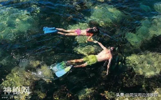 探索海底世界 人均200玩浮潜 住蓝鲸酒店+环岛游+海钓+UFO游泳池-15.jpg