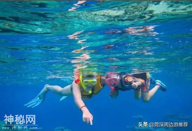 探索海底世界 人均200玩浮潜 住蓝鲸酒店+环岛游+海钓+UFO游泳池-14.jpg