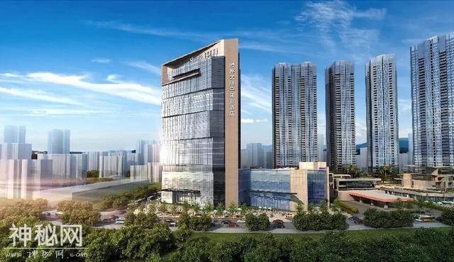 人文领地——深圳博林天瑞喜来登酒店 | CCD新作-6.jpg