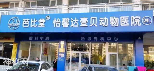 给动物用人药，顺义这两家医院被罚-1.jpg