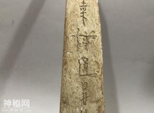 古墓里发现古老文字，考古专家欢呼：中国五千年文明终于被证实了-5.jpg