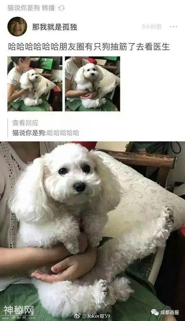 你知道什么「能笑死人」的笑话？-3.jpg