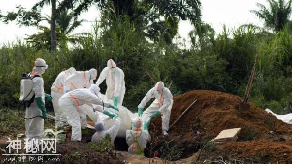 埃博拉病毒在刚果蔓延，世界卫生组织宣布“紧急情况”，千人死亡-1.jpg