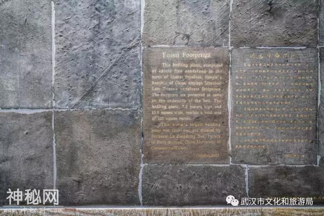 中国地质大学逸夫博物馆珍藏着传说中的夜明珠，两个人都抱不过来-17.jpg