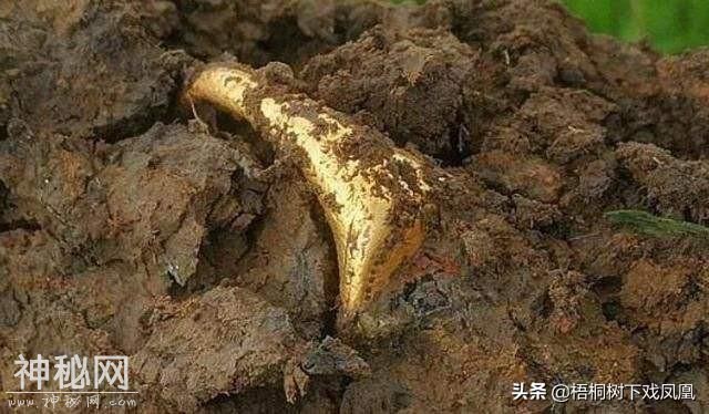 湖北“芈月哥哥葬地”发现古墓，盗洞刚好挖在棺室，出土特别之物-9.jpg