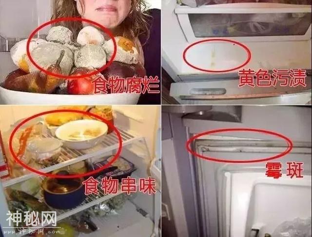 冰箱里藏有1000万个细菌，难怪有异味！日本人黑发明神蛋，2小时还你一个完美冰箱-11.jpg