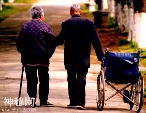 亡妻存在手机里的800张照片，死后日本丈夫才发现：原来这是她看到的人生...-46.jpg