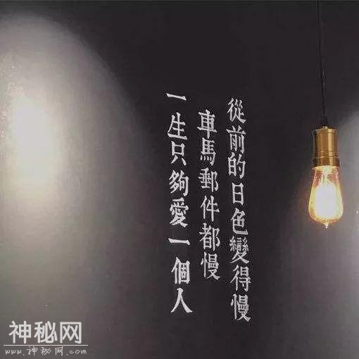 亡妻存在手机里的800张照片，死后日本丈夫才发现：原来这是她看到的人生...-44.jpg
