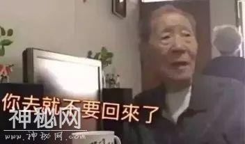 亡妻存在手机里的800张照片，死后日本丈夫才发现：原来这是她看到的人生...-52.jpg