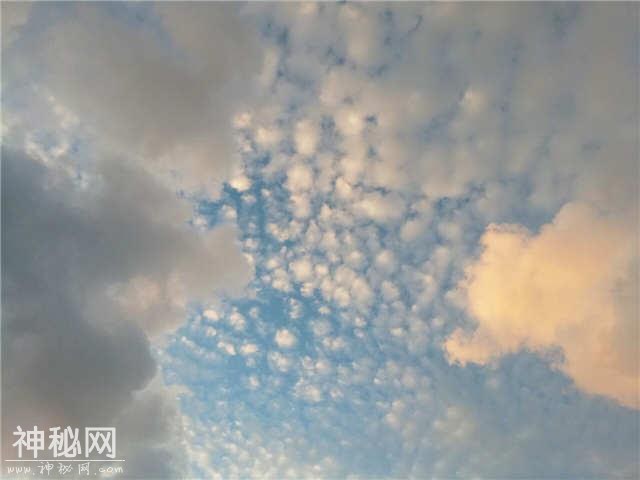 青岛天空飘来画风诡异的云：啥糊了？有妖怪？外星人？-6.jpg