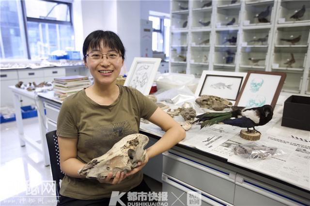 浙江唯一动物考古学家是90后 她眼里的每块骨头都有故事-3.jpg