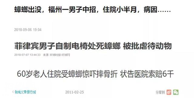 为什么会有蟑螂这种反人类的动物出现？-5.jpg