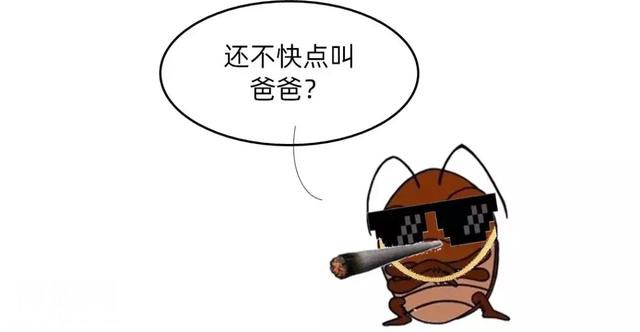 为什么会有蟑螂这种反人类的动物出现？-8.jpg