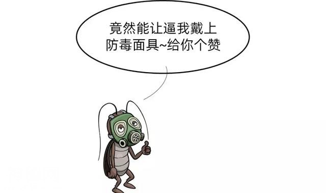 为什么会有蟑螂这种反人类的动物出现？-26.jpg