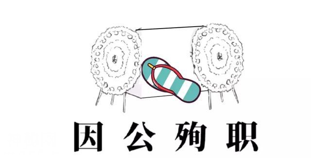 为什么会有蟑螂这种反人类的动物出现？-24.jpg