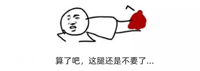 为什么会有蟑螂这种反人类的动物出现？-33.jpg