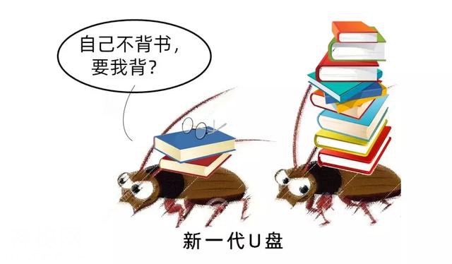 为什么会有蟑螂这种反人类的动物出现？-44.jpg