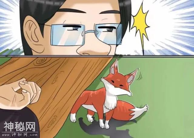 搞笑漫画：小伙和狐狸相爱了-3.jpg