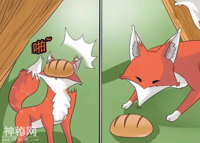 搞笑漫画：小伙和狐狸相爱了-5.jpg