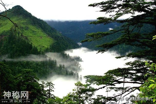 「原创」湖北这个山区县竟然是《诗经》发源地 相传有野人出没-2.jpg