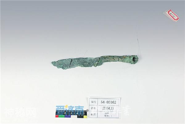 文物“会说话”！刘家庄在商代可是住过王室贵族的-7.jpg