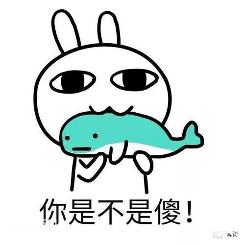 快到中元节了 我给你讲几个鬼故事-14.jpg