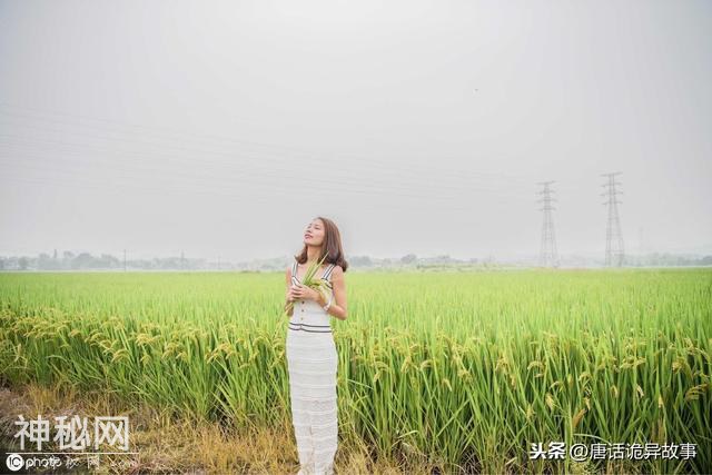 胡说鬼故事，稻田里的人-2.jpg