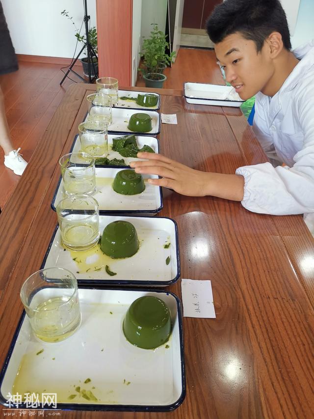 十年圆了一个抹茶保健豆腐的梦-1.jpg