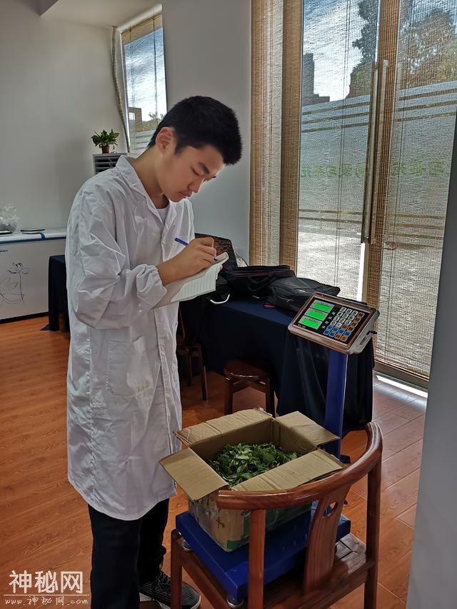 十年圆了一个抹茶保健豆腐的梦-2.jpg