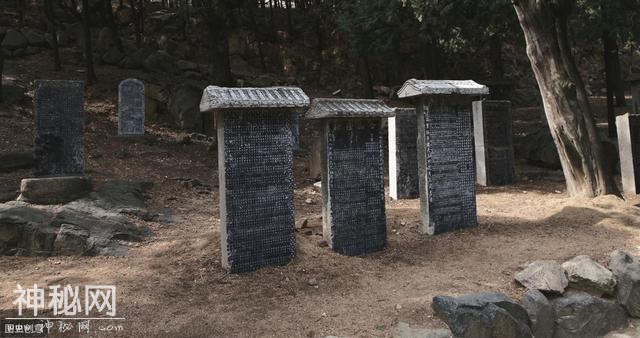 和盗墓有关的罪行有哪些？如何量刑？-4.jpg